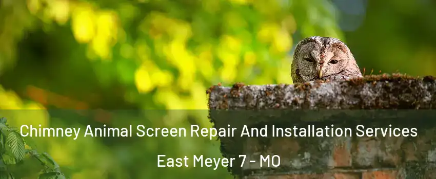 Chimney Animal Screen Repair And Installation Services East Meyer 7 - MO