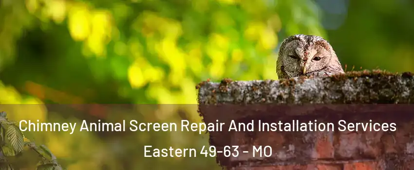 Chimney Animal Screen Repair And Installation Services Eastern 49-63 - MO