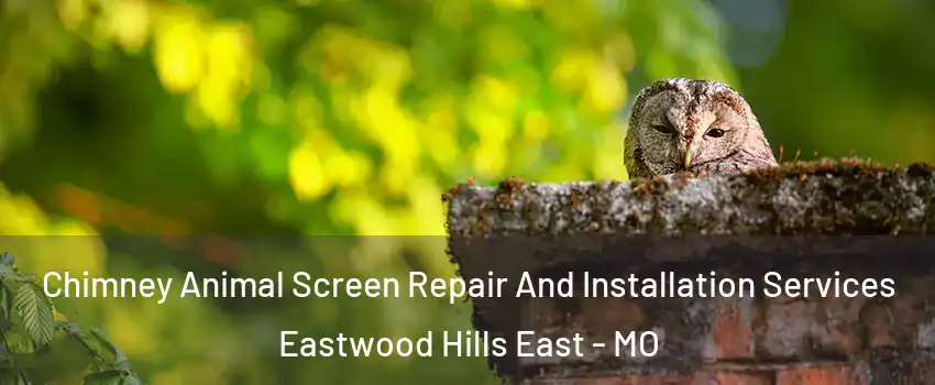 Chimney Animal Screen Repair And Installation Services Eastwood Hills East - MO