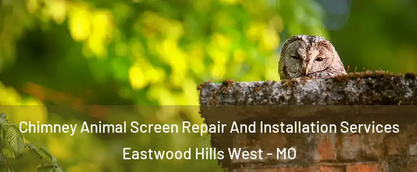 Chimney Animal Screen Repair And Installation Services Eastwood Hills West - MO