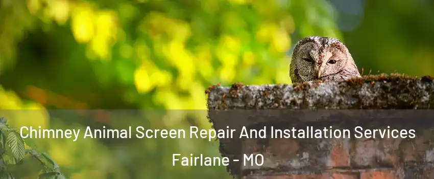 Chimney Animal Screen Repair And Installation Services Fairlane - MO