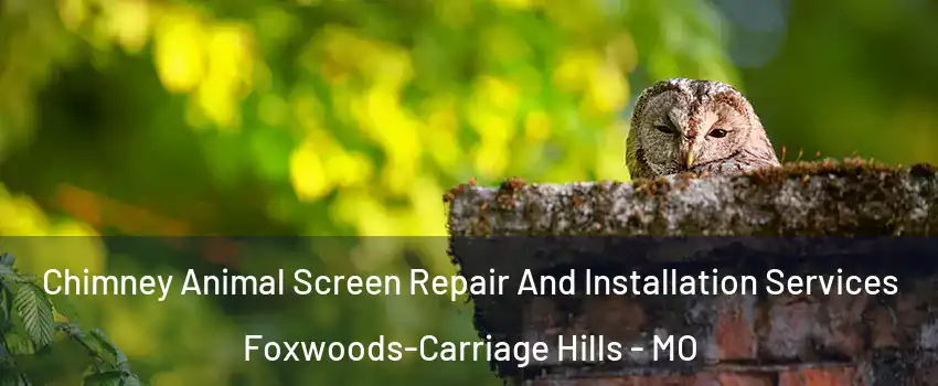 Chimney Animal Screen Repair And Installation Services Foxwoods-Carriage Hills - MO