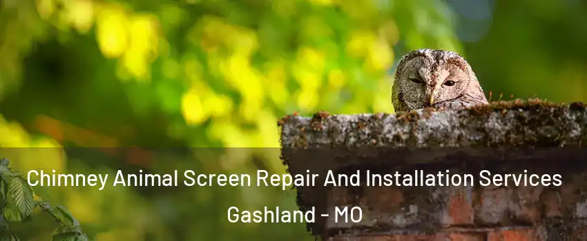 Chimney Animal Screen Repair And Installation Services Gashland - MO