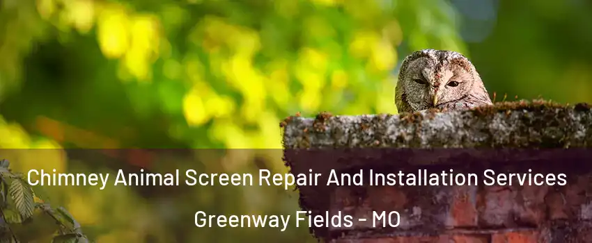 Chimney Animal Screen Repair And Installation Services Greenway Fields - MO