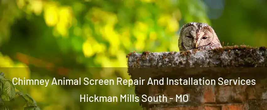 Chimney Animal Screen Repair And Installation Services Hickman Mills South - MO