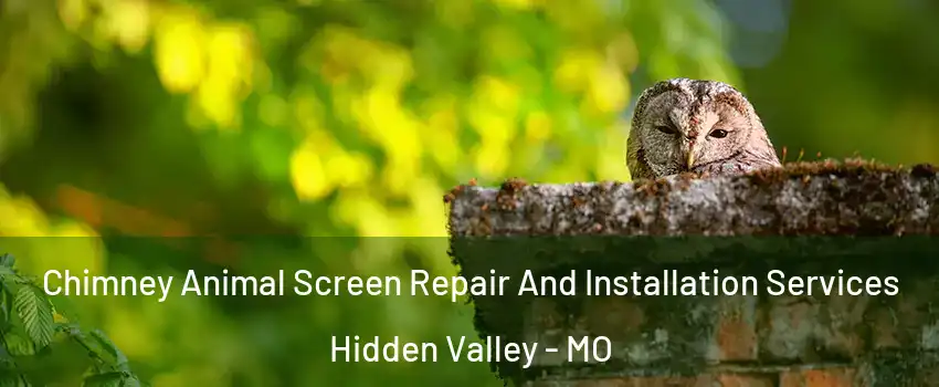 Chimney Animal Screen Repair And Installation Services Hidden Valley - MO