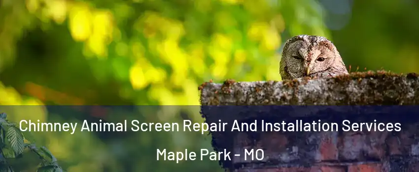 Chimney Animal Screen Repair And Installation Services Maple Park - MO