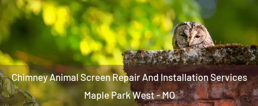 Chimney Animal Screen Repair And Installation Services Maple Park West - MO