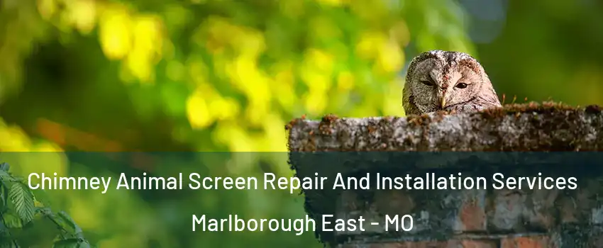 Chimney Animal Screen Repair And Installation Services Marlborough East - MO