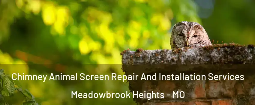 Chimney Animal Screen Repair And Installation Services Meadowbrook Heights - MO