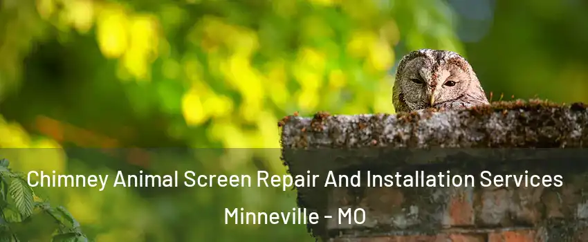 Chimney Animal Screen Repair And Installation Services Minneville - MO