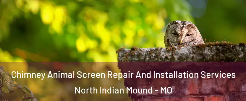 Chimney Animal Screen Repair And Installation Services North Indian Mound - MO