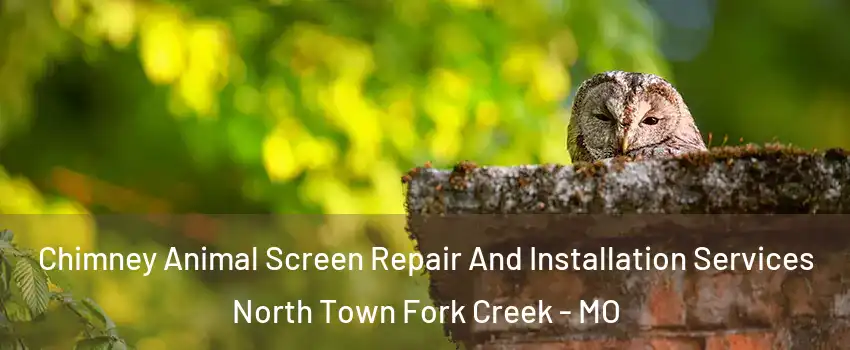 Chimney Animal Screen Repair And Installation Services North Town Fork Creek - MO