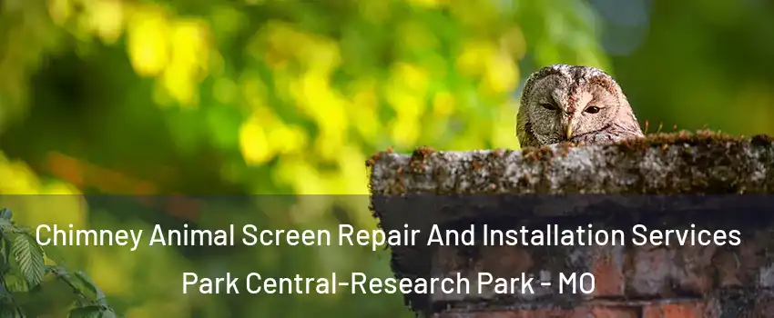 Chimney Animal Screen Repair And Installation Services Park Central-Research Park - MO