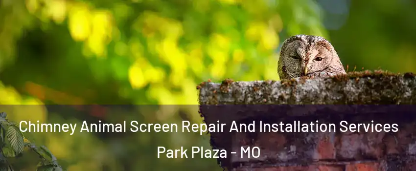 Chimney Animal Screen Repair And Installation Services Park Plaza - MO