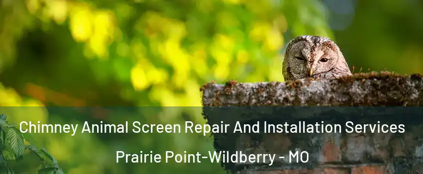 Chimney Animal Screen Repair And Installation Services Prairie Point-Wildberry - MO