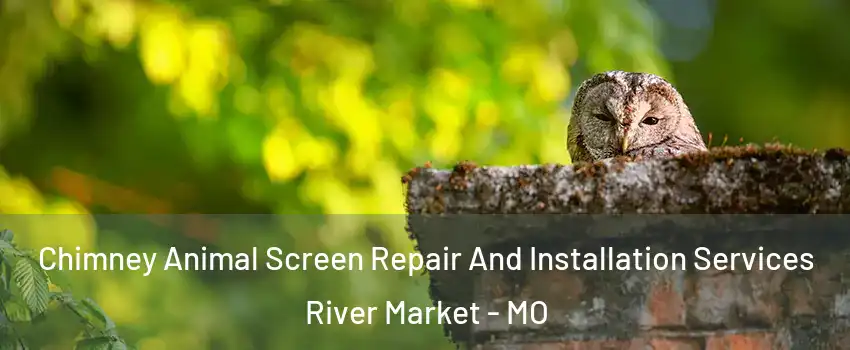 Chimney Animal Screen Repair And Installation Services River Market - MO