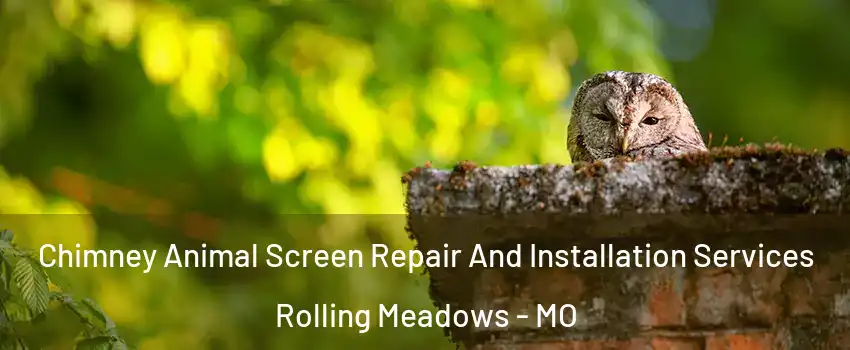 Chimney Animal Screen Repair And Installation Services Rolling Meadows - MO