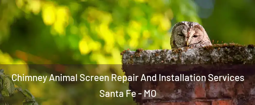 Chimney Animal Screen Repair And Installation Services Santa Fe - MO