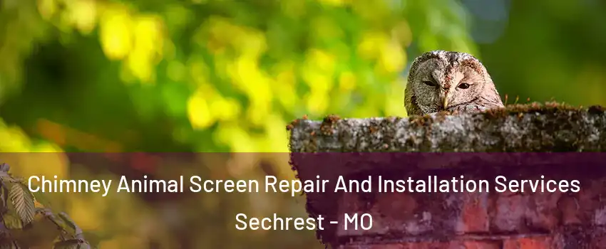 Chimney Animal Screen Repair And Installation Services Sechrest - MO