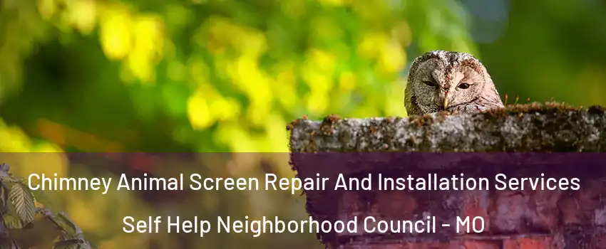 Chimney Animal Screen Repair And Installation Services Self Help Neighborhood Council - MO