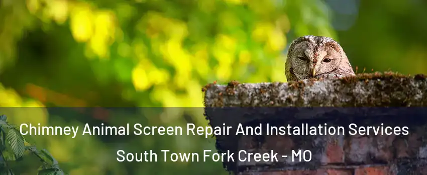 Chimney Animal Screen Repair And Installation Services South Town Fork Creek - MO