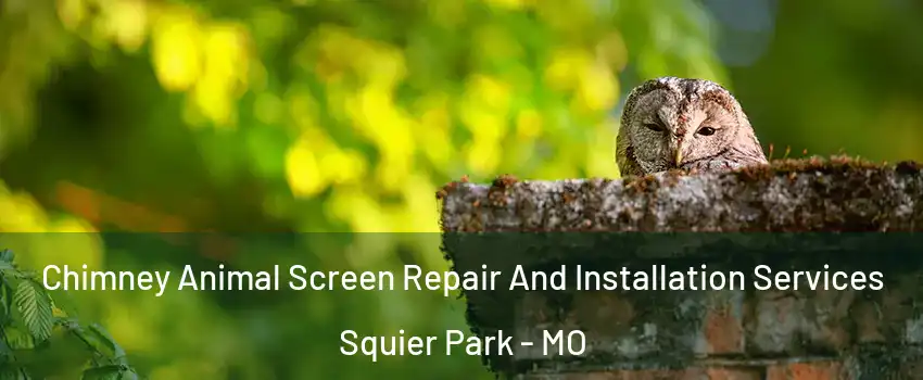 Chimney Animal Screen Repair And Installation Services Squier Park - MO