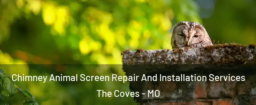 Chimney Animal Screen Repair And Installation Services The Coves - MO