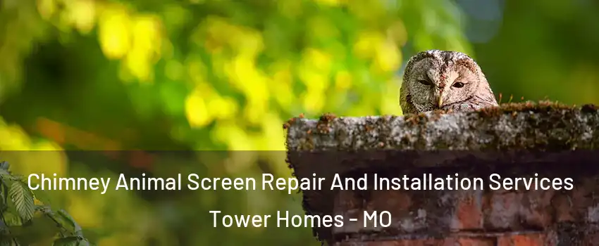 Chimney Animal Screen Repair And Installation Services Tower Homes - MO