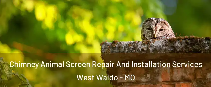 Chimney Animal Screen Repair And Installation Services West Waldo - MO