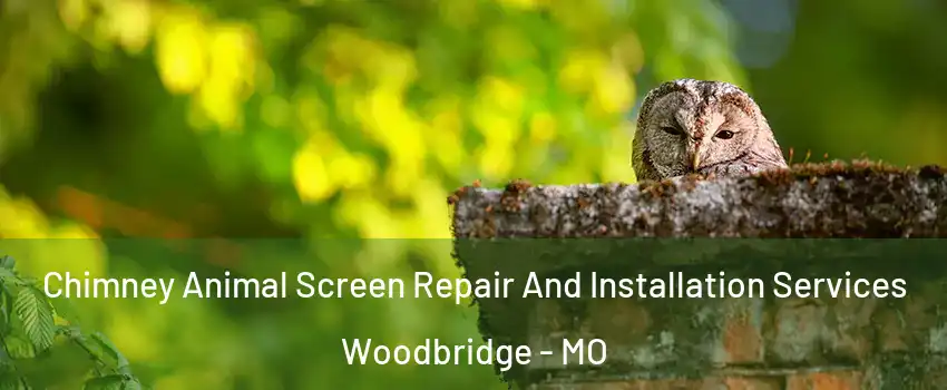 Chimney Animal Screen Repair And Installation Services Woodbridge - MO