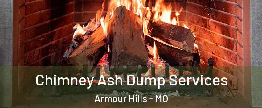 Chimney Ash Dump Services Armour Hills - MO