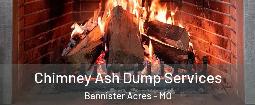 Chimney Ash Dump Services Bannister Acres - MO