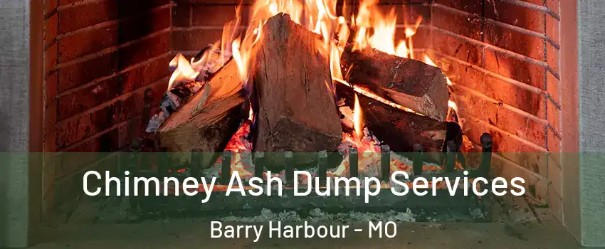 Chimney Ash Dump Services Barry Harbour - MO