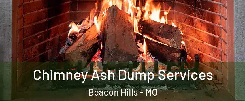 Chimney Ash Dump Services Beacon Hills - MO