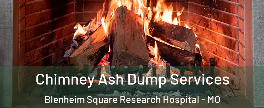 Chimney Ash Dump Services Blenheim Square Research Hospital - MO