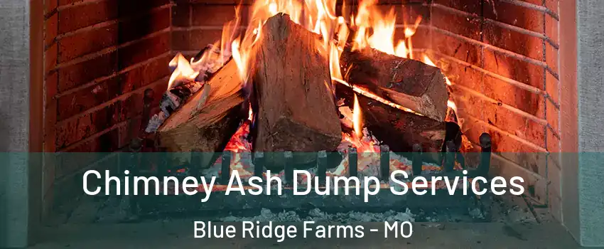 Chimney Ash Dump Services Blue Ridge Farms - MO