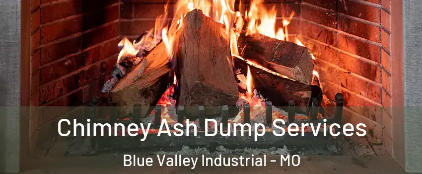 Chimney Ash Dump Services Blue Valley Industrial - MO