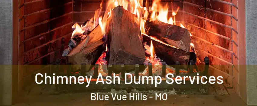 Chimney Ash Dump Services Blue Vue Hills - MO