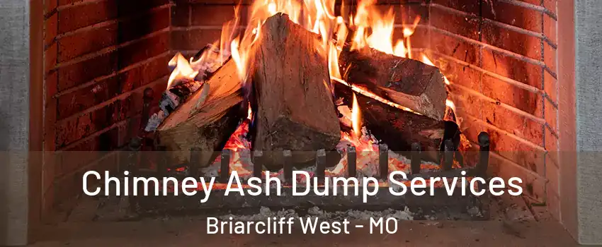 Chimney Ash Dump Services Briarcliff West - MO