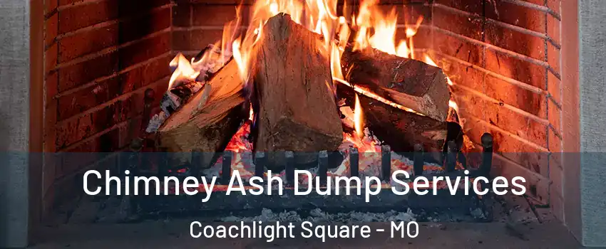 Chimney Ash Dump Services Coachlight Square - MO