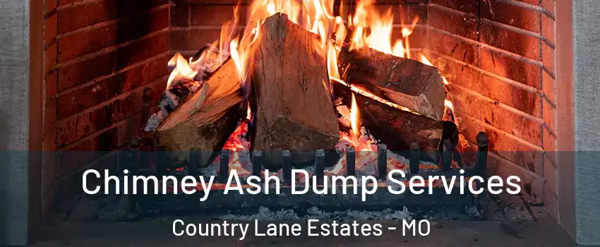 Chimney Ash Dump Services Country Lane Estates - MO