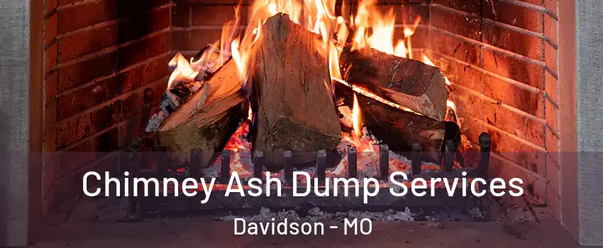 Chimney Ash Dump Services Davidson - MO