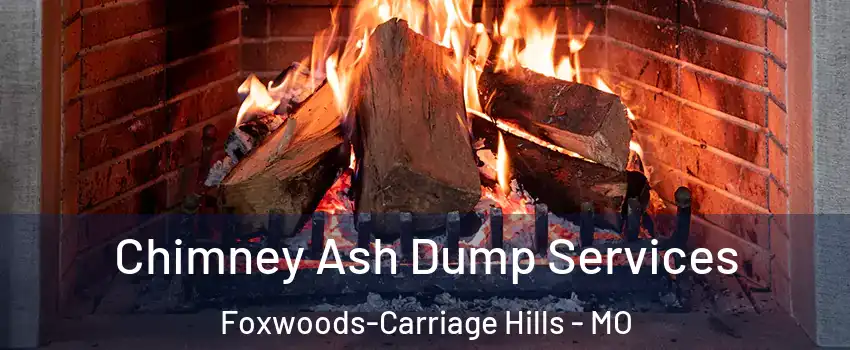 Chimney Ash Dump Services Foxwoods-Carriage Hills - MO