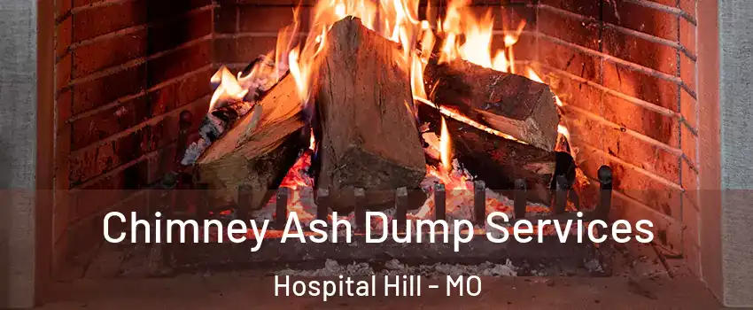 Chimney Ash Dump Services Hospital Hill - MO