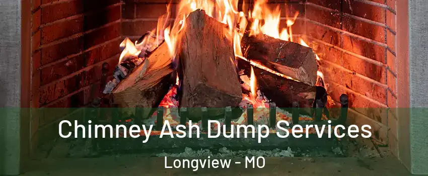 Chimney Ash Dump Services Longview - MO