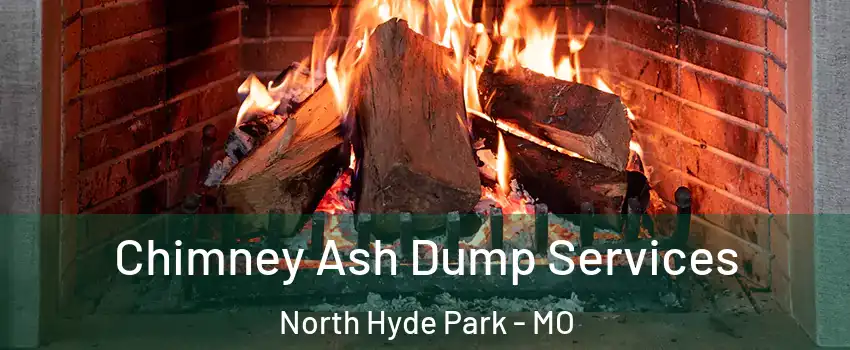 Chimney Ash Dump Services North Hyde Park - MO