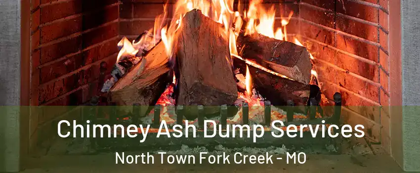 Chimney Ash Dump Services North Town Fork Creek - MO