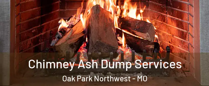 Chimney Ash Dump Services Oak Park Northwest - MO