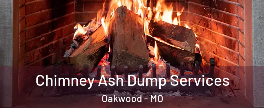 Chimney Ash Dump Services Oakwood - MO